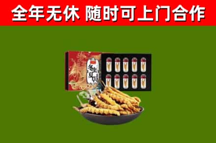 锦江区回收冬虫夏草价格
